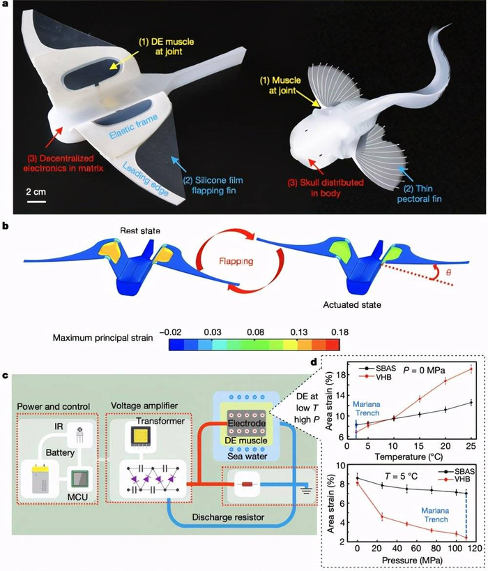 软机器人的设计与制造（来源：Nature）
