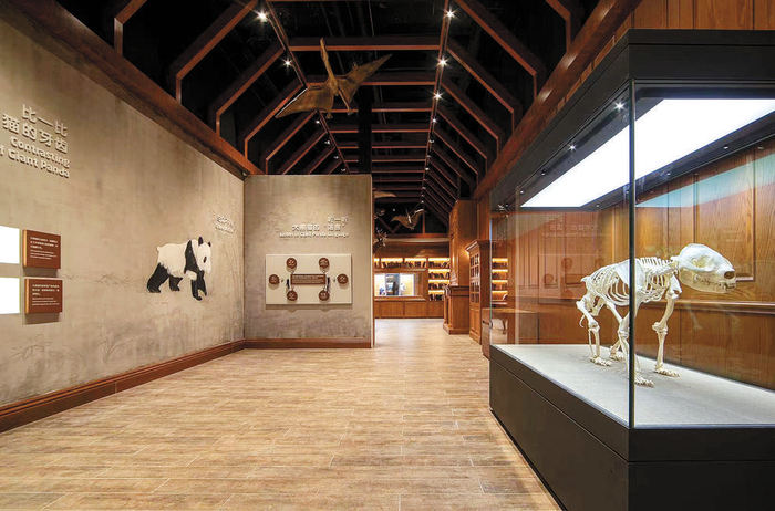 成都大熊猫博物馆第一展区“熊猫前传” 图片由成都大熊猫繁育研究基地提供