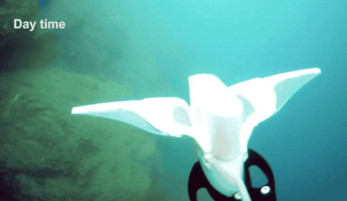 软体机器人在湖中测试（来源：Nature）