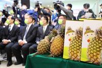 这也算突破?台媒:不怕运费贵 台向澳销售2吨凤梨