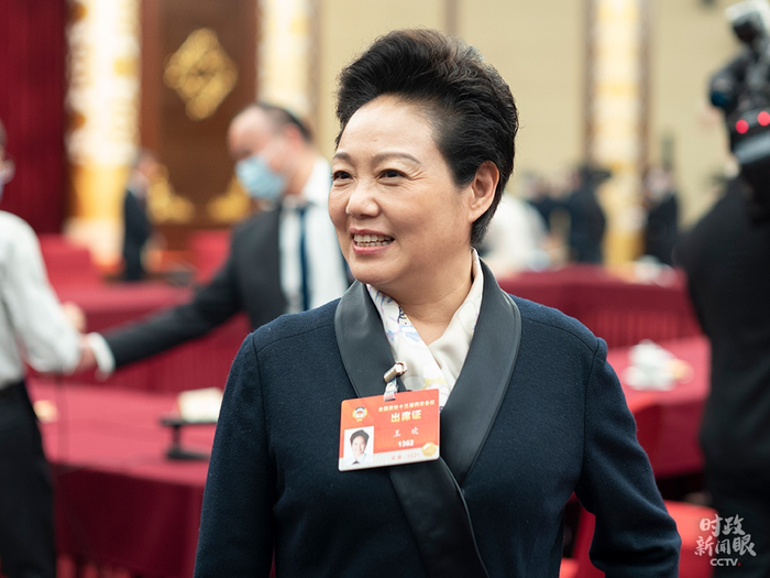 △王欢委员（总台央视记者王哈男拍摄）