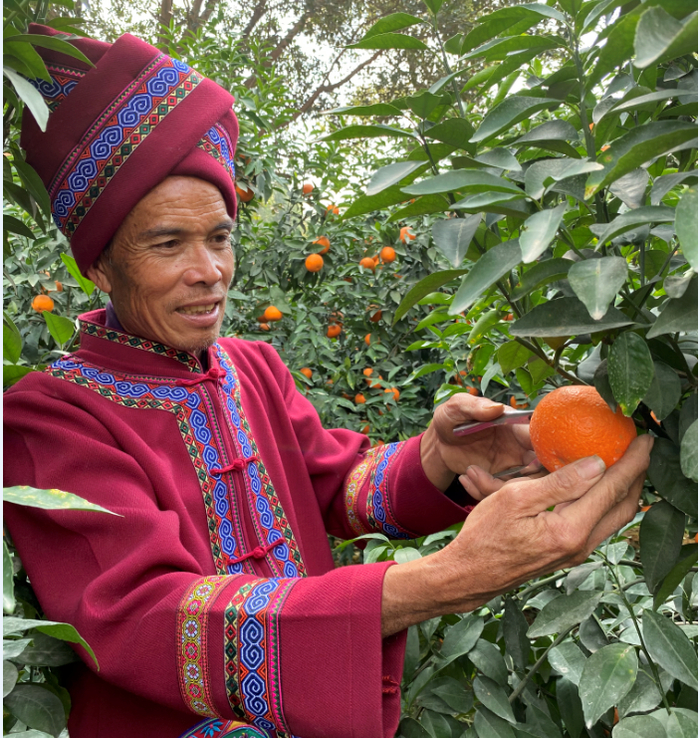 广西沃柑通过社区团购供应链减少损耗，提升流通效率