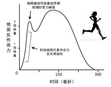 图1  脚跟着地时受力分析