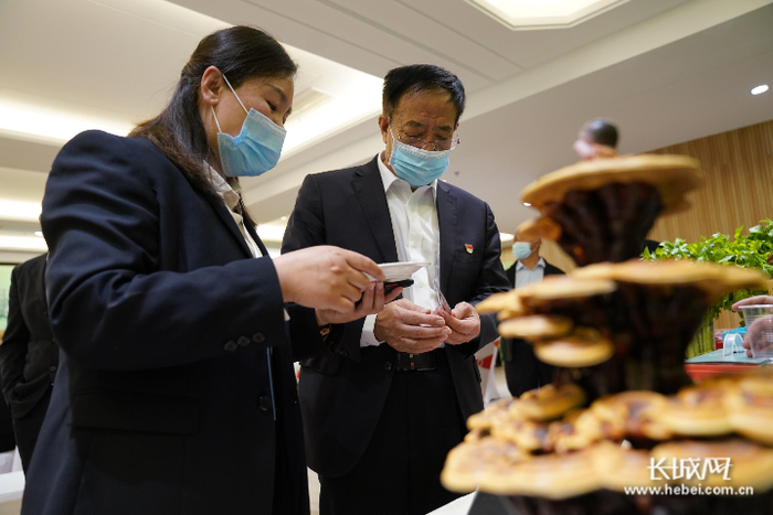 衡水参展商为嘉宾讲解灵芝食用方法。长城网记者 张千 摄