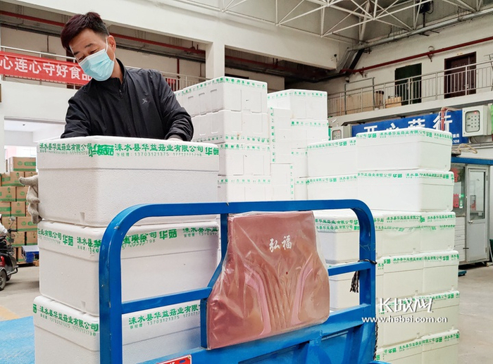                   在河北新发地菌类交易大厅菌菇商户正在忙碌着出货。河北新发地供图