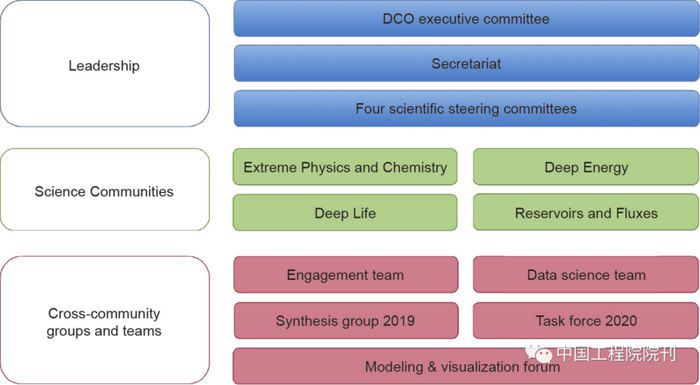 图1  DCO 组织结构