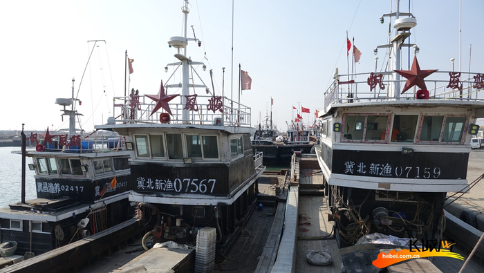 在秦皇岛市北戴河新区新开口码头，许多渔船已经停泊靠岸。