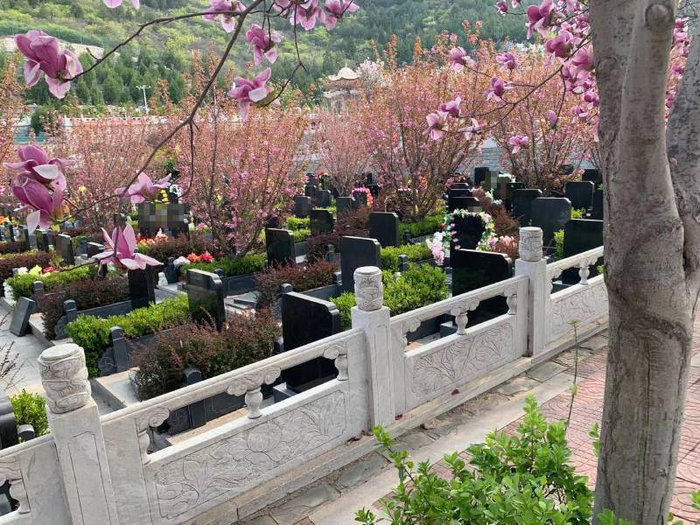 根据墓碑大小、占地面积，墓地的价格也不同。（拍摄地并非天寿陵园）李凯旋 摄