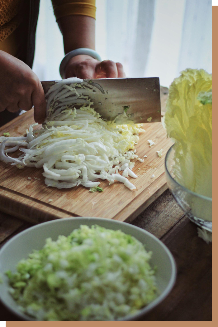 中国的饺子馅常会用到白菜，而日本多用卷心菜。©CCCCCCC大调