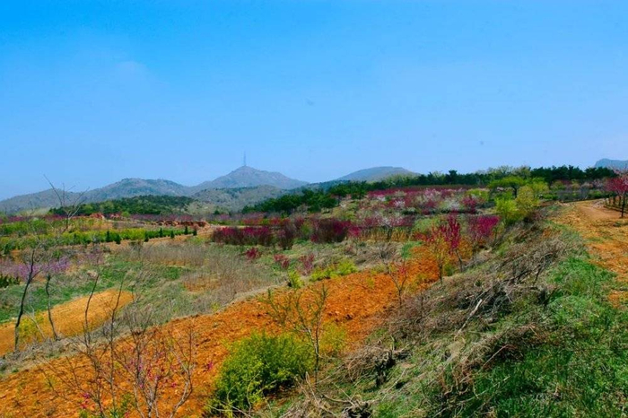 建设中的桃花园