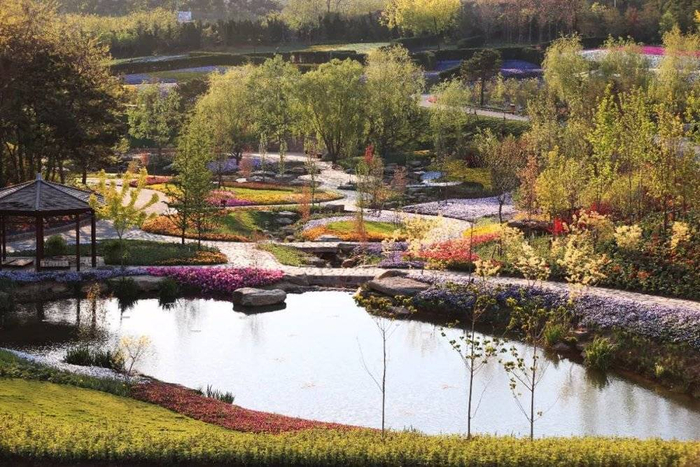 大卫·帕特森设计的布查特