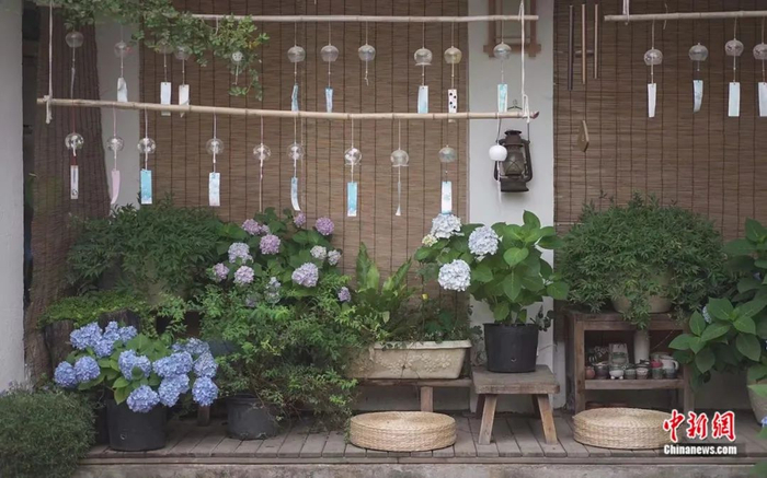 “满叔的院子”。受访者供图