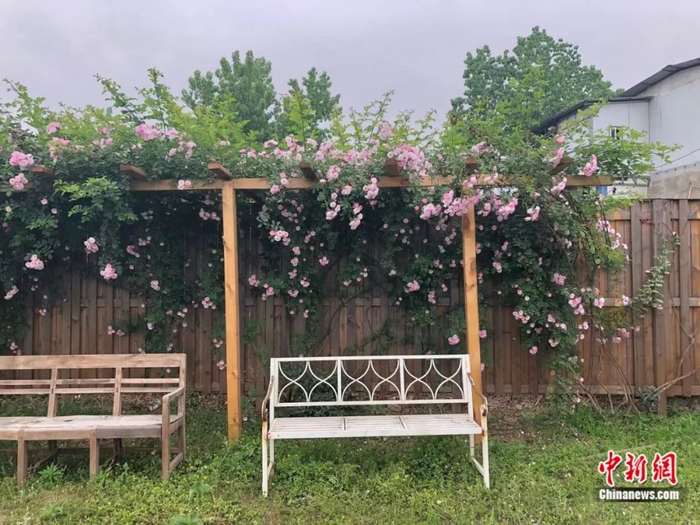 “满叔的院子”。尧欣雨 摄