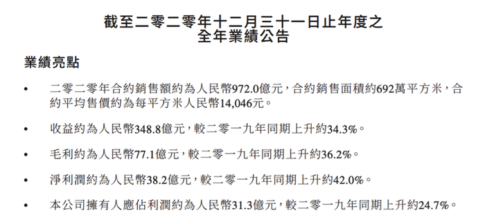 图片来源：金辉控股2020年年报