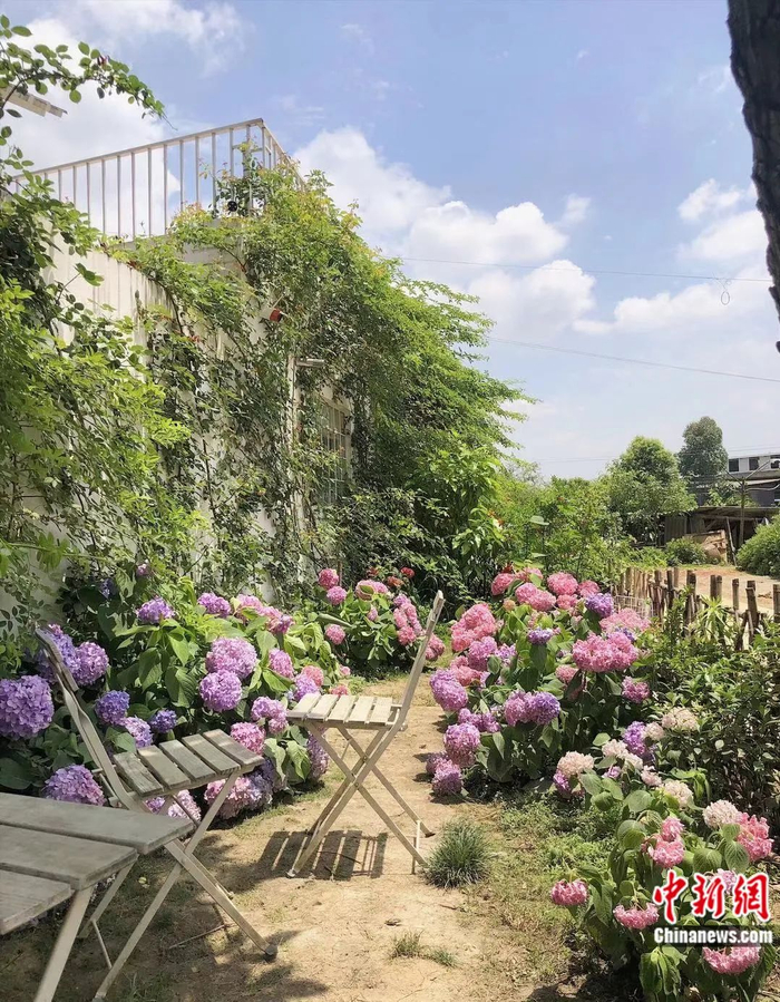 “满叔的院子”。受访者供图