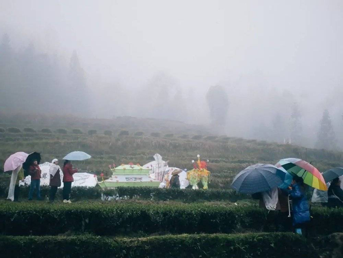 到达埋葬的地方了，在一块茶园的旁边，这块地要事先请人看好风水。