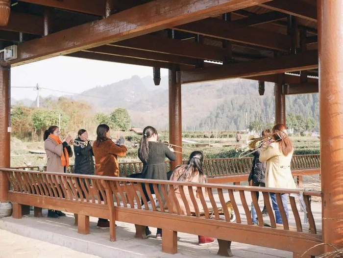 亭子旁边就是茶园，乐手们练习结束后就要去摘茶叶。