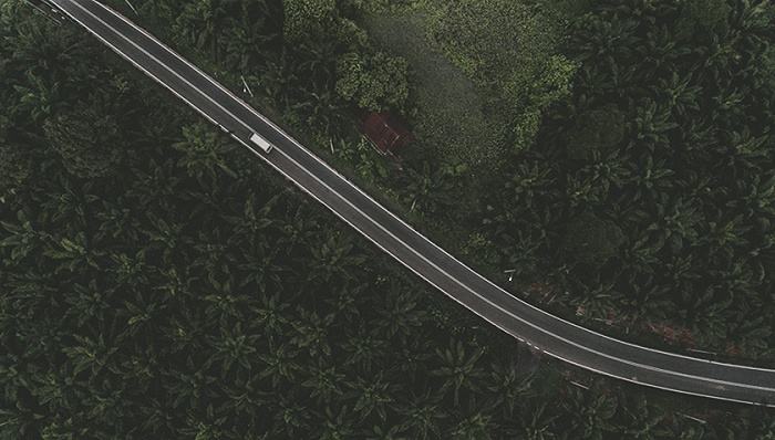 图片来源：Pexels-Deva Darshan