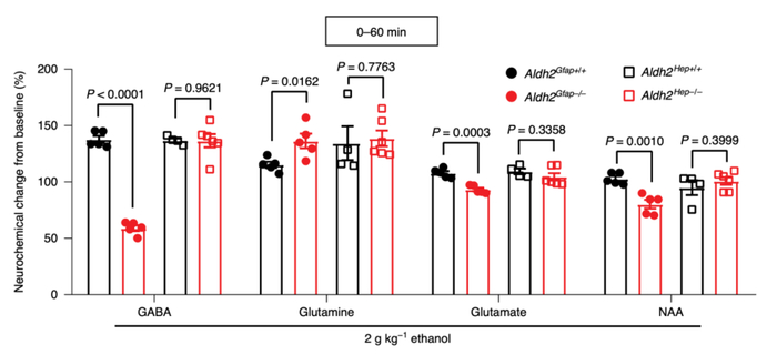 肝脏ALDH2状态对脑内酒精代谢并没有太大影响