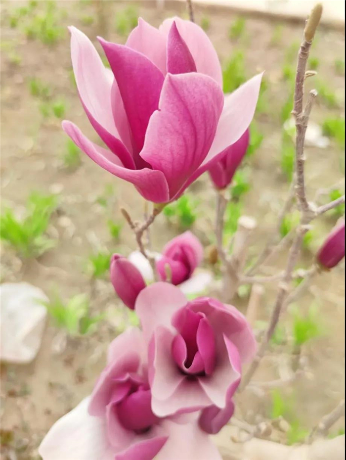 （莎车县纪委监委 姜莉 摄）