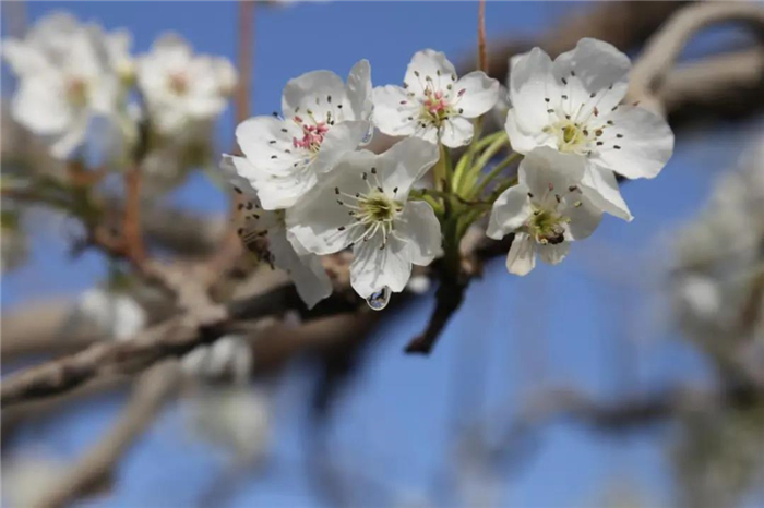 （阿瓦提县纪委监委 雷延花 摄）