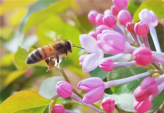 （吐鲁番市纪委监委 张甫军 摄）