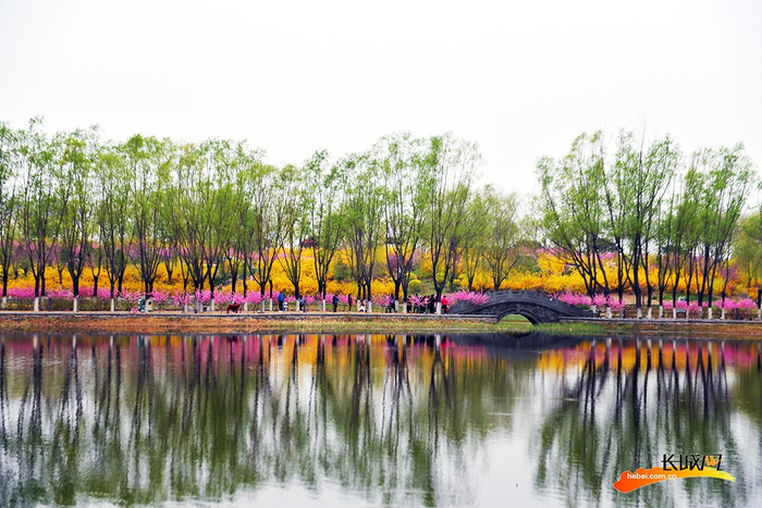 市民在黄台山公园游玩。彭月娟 摄