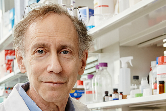 图片来源：网络