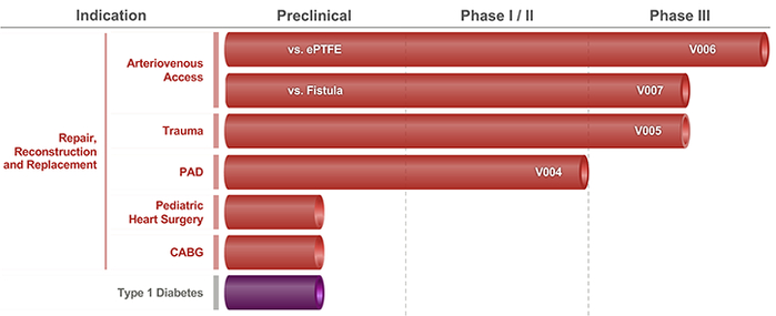 图片来源：SEC文件
