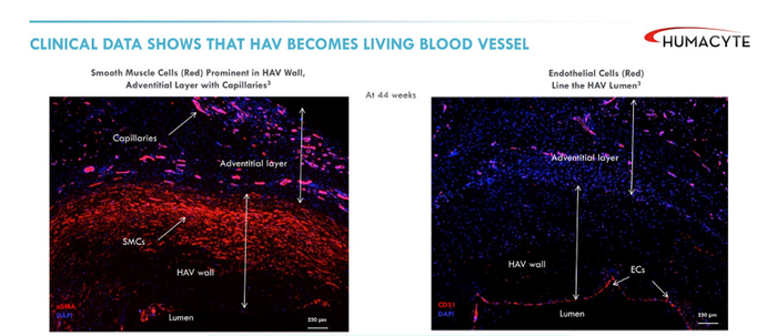 图片来源：SEC文件