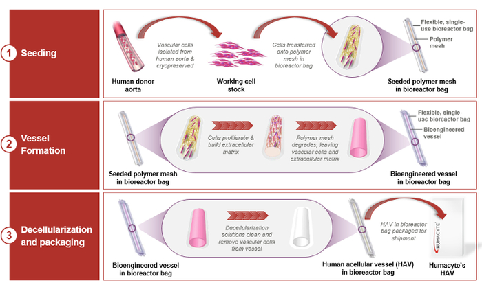 图片来源：SEC文件