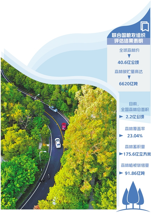  图为福建省福州市福山郊野公园美景。公园沿线三座山脉充分展现了山林乡野风貌，成为人们欣赏绿水青山、环看城市美景的好去处。 新华社记者 魏培全摄