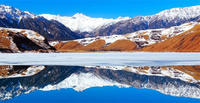 （图片由祁连山国家公园管理局提供）