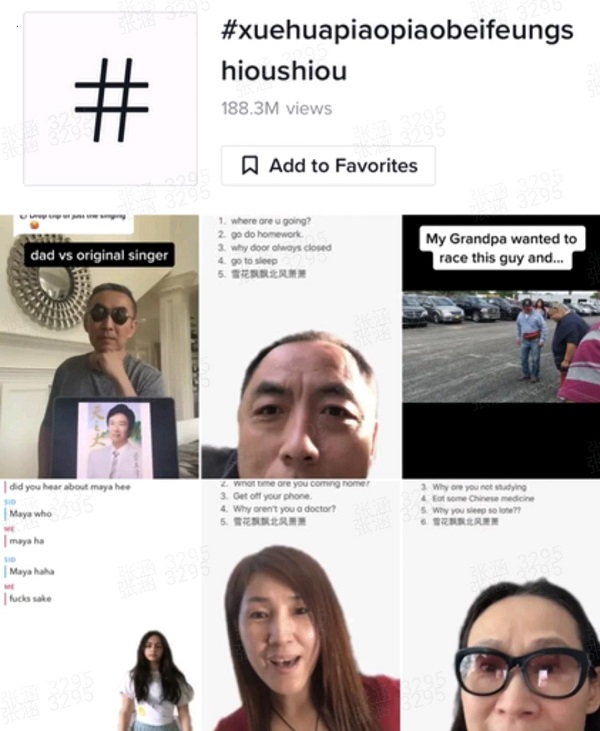 图说：《一剪梅》走红TikTok 采访对象供图