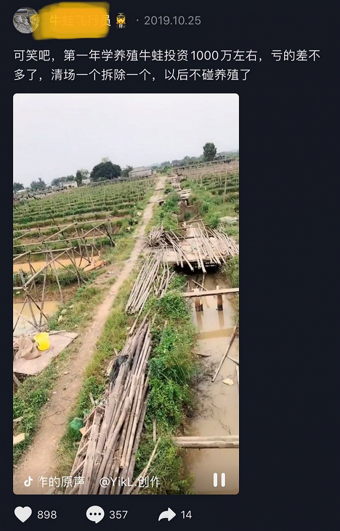 △抖音上关于牛蛙养殖破产的案例非常多