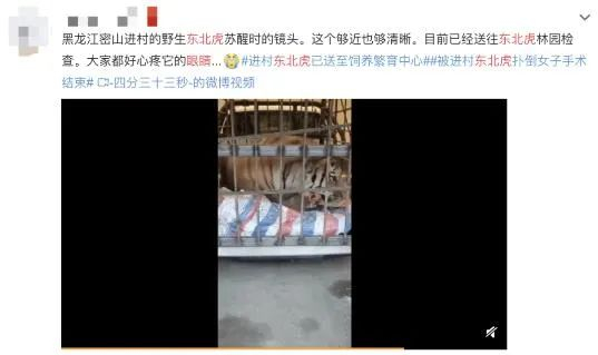 图片来源：微博截图