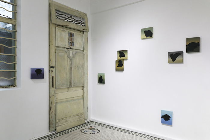 展览White Shadow现场，2019