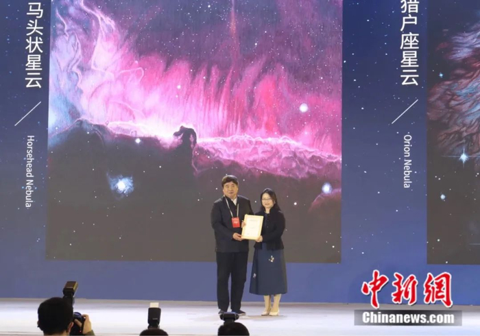 单霁翔为陈英华颁奖。陶莹 摄