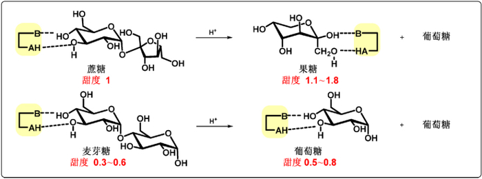 图2 常见糖类及其甜度