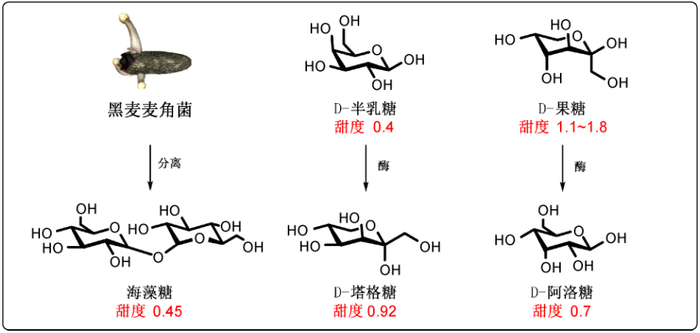 图3 稀有糖及其甜度