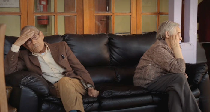 不爱社交的索尼娅令赛大爷头疼