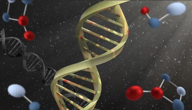 图片来源：Pixabay