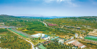 嘉祥县实施封山禁采后绿意盎然的山体。嘉祥县委宣传部供图