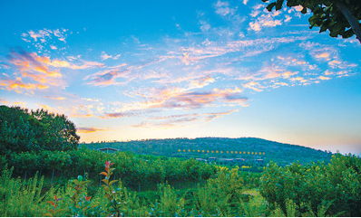 远眺嘉祥县南部山区。嘉祥县委宣传部供图