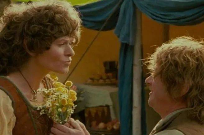 ©️《指环王1：护戒使者》，2001