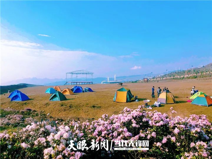 乌蒙大草原杜鹃花海露营基地成为游客喜爱的打卡点 彭伟 摄