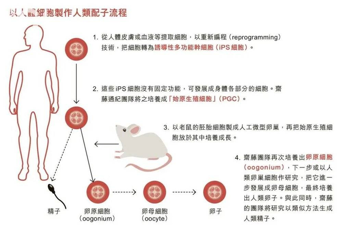 图片来自：香港 01