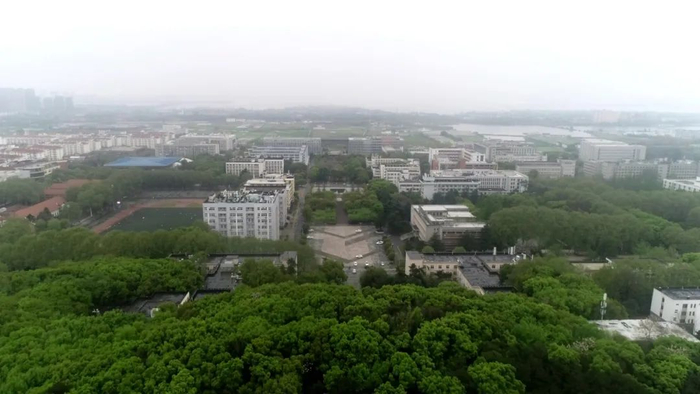 狮山中轴线鸟瞰（戴壮 摄）