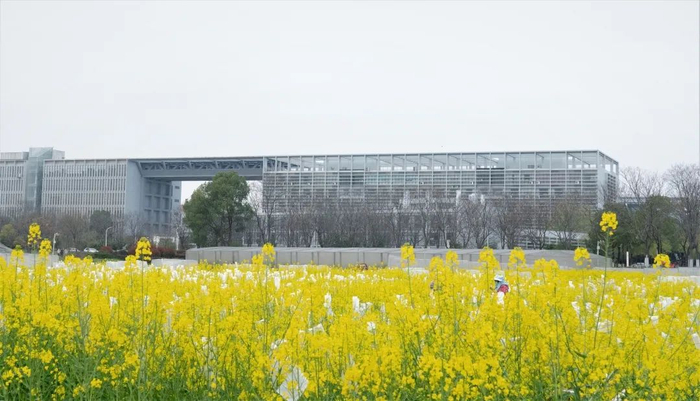 国家油菜工程技术研究中心实验基地（周东琴 摄）