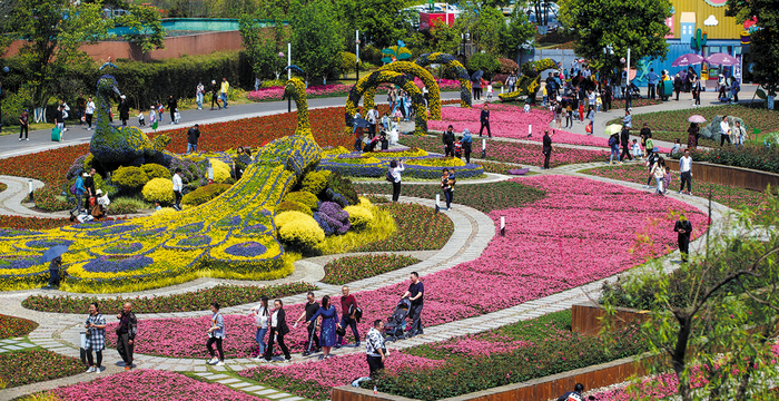 清明假期，大邑县安仁古镇吸引了众多市民举家出游